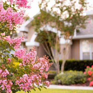 HOW TO KEEP YOUR HOME FREE OF ALLERGENS: A GUIDE