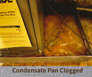 Mold Dangers from Your HVAC System