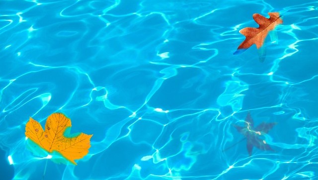 How to Prepare Your Air Conditioner for Autumn in Perth – Air Conditioning Perth