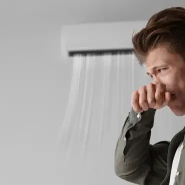 AC Maintenance Wesley Chapel | Professional Tune-Ups & Service