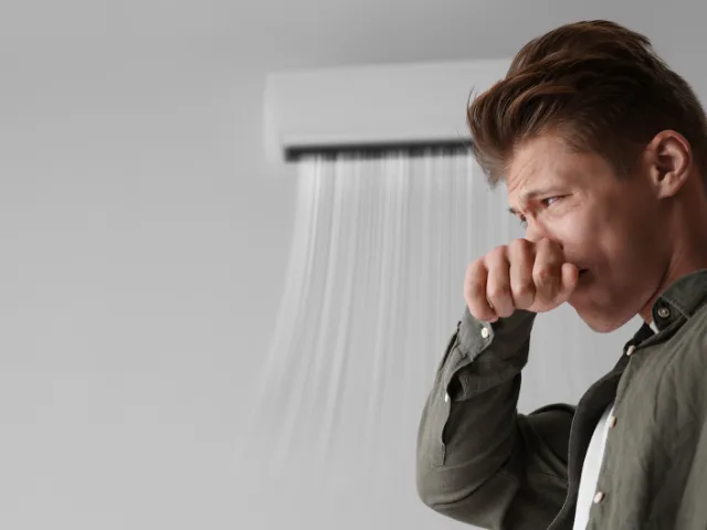 AC Maintenance Wesley Chapel | Professional Tune-Ups & Service