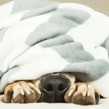 Get Your Furnace a Much-Needed Upgrade