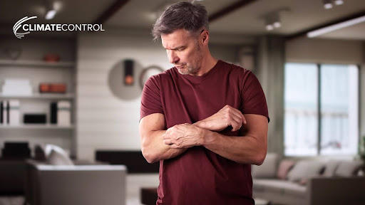 Indoor Air Quality Problems That Can Develop in Seasonal Mountain Homes