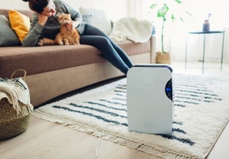 Dehumidifiers That Cut Allergies and Dust