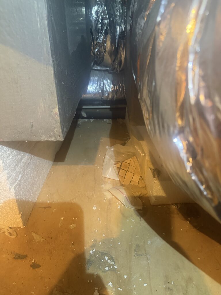 Bathroom Remodeling & HVAC Drain Line Project in Austin