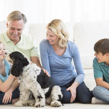 Has Your Heating and Cooling Plan Lapsed?