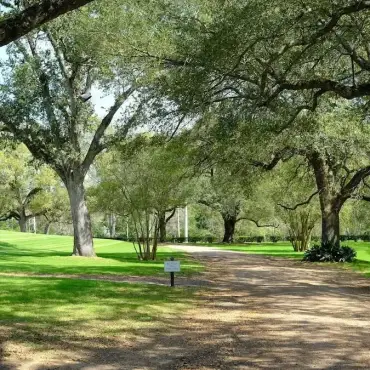 4 Ways to Celebrate Arbor Day
