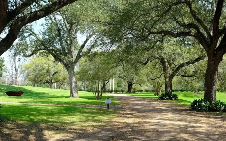 4 Ways to Celebrate Arbor Day