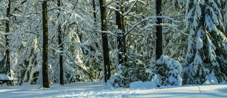 Winter Home Prep in Southern MD | HVAC Checklist
