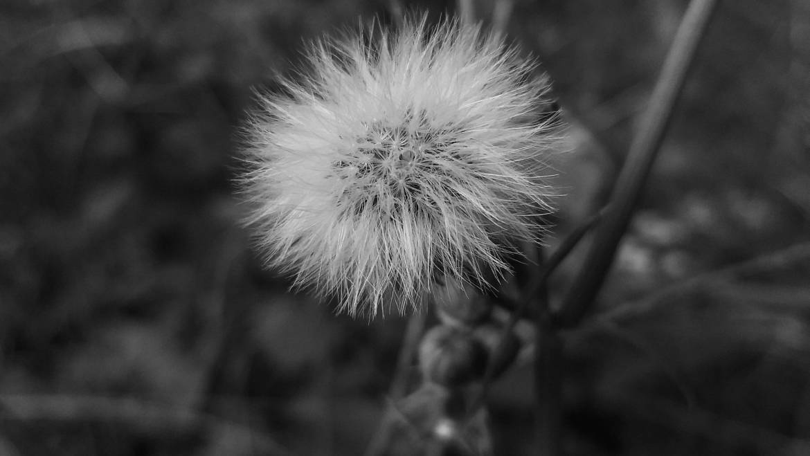 Breathe Easier, Live Healthier: Air Quality Awareness Week is April 28th – May 4th