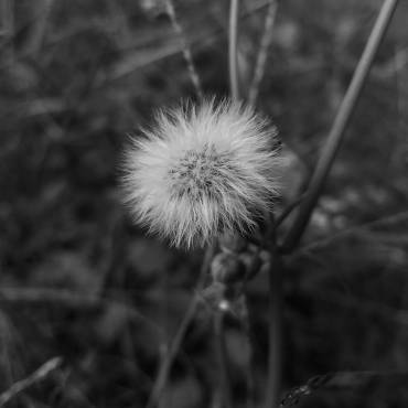 Breathe Easier, Live Healthier: Air Quality Awareness Week is April 28th – May 4th
