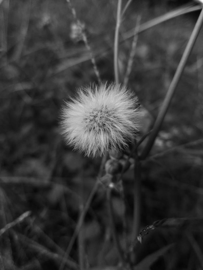 Breathe Easier, Live Healthier: Air Quality Awareness Week is April 28th – May 4th