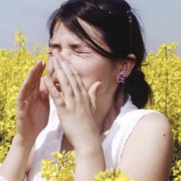 Keep seasonal allergies in check in Southern MD