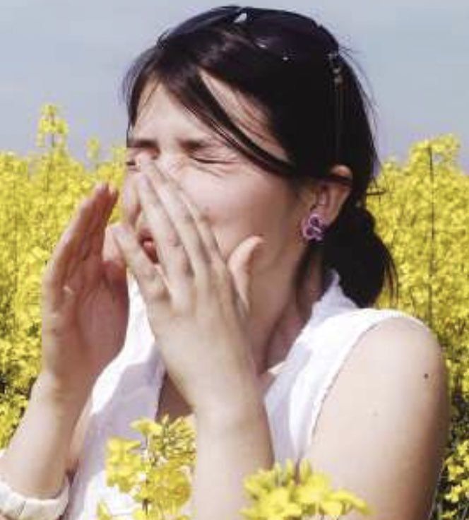 Keep seasonal allergies in check in Southern MD