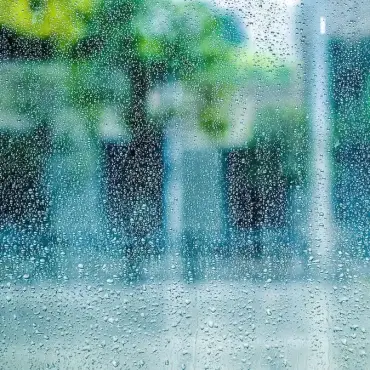 How to Combat Humidity in Your Home