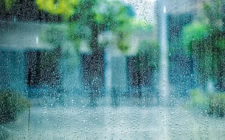 How to Combat Humidity in Your Home