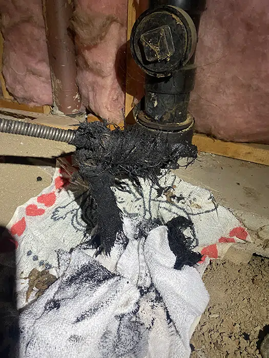 Why Is There Sewage Backing Up Into My Basement?