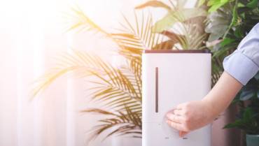 How an Air Purifier Boosts AC Efficiency in Richwood, TX