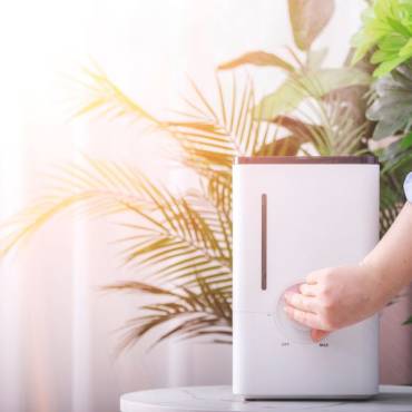 How an Air Purifier Boosts AC Efficiency in Richwood, TX