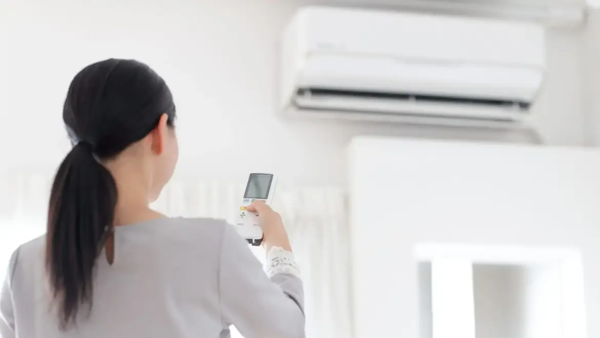 Ductless Mini-Split Technology: 6 Pros and 5 Cons