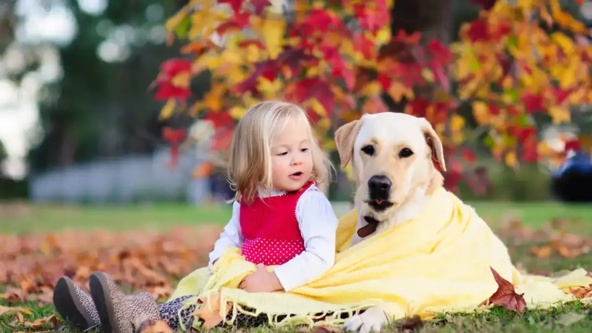 Pet-Friendly AC Settings: Keeping Your Pets Cool