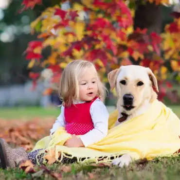Pet-Friendly AC Settings: Keeping Your Pets Cool