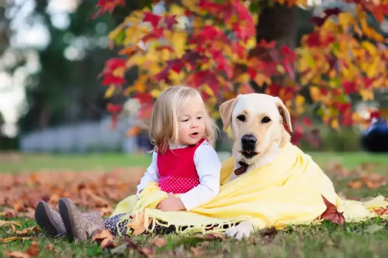 Pet-Friendly AC Settings: Keeping Your Pets Cool