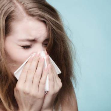 3 Common Indoor Allergens