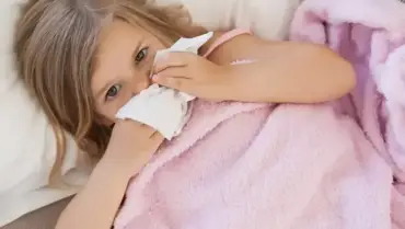 Cut Commercial Cleaners, Cut Allergies