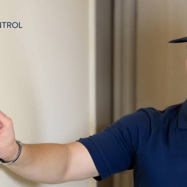How Smart Thermostats Help You Monitor Your HVAC System From Anywhere