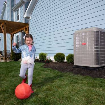 Dehumidifiers Canton Georgia