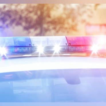 HVAC Technician Arrested After Dog Kicked Inside Florida Home