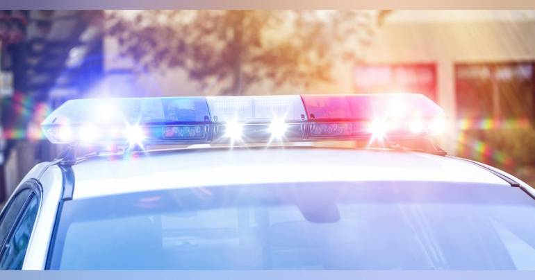HVAC Technician Arrested After Dog Kicked Inside Florida Home