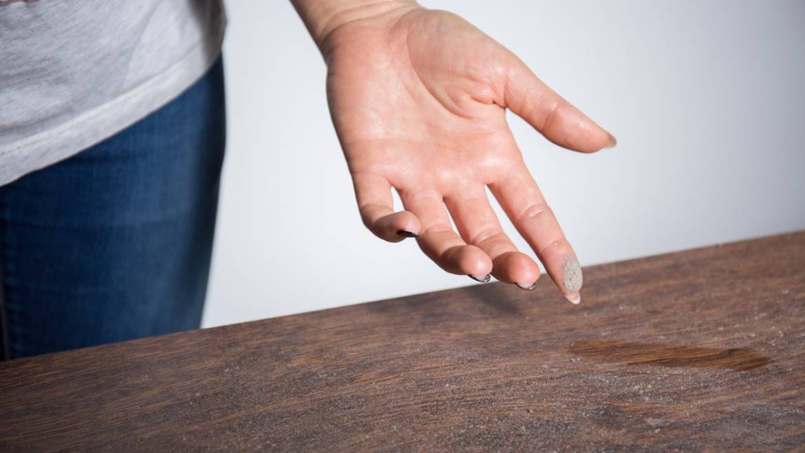 Dust Mites Are Mighty Bad for Your Indoor Air