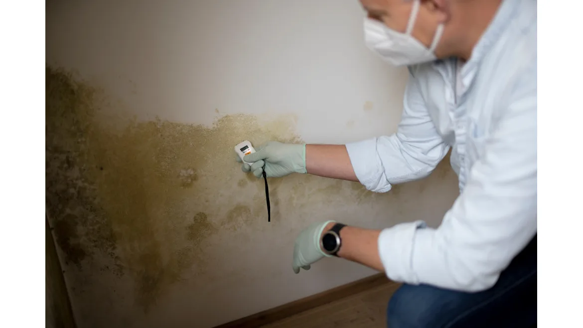 Mold: The HVAC Industry’s 4-Letter Word
