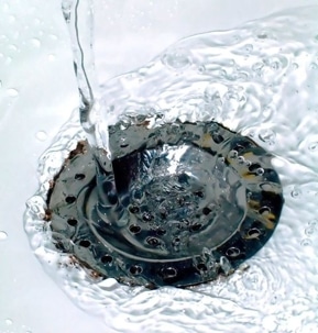 DIY Drain Maintenance vs. Professional Care: Finding the Balance
